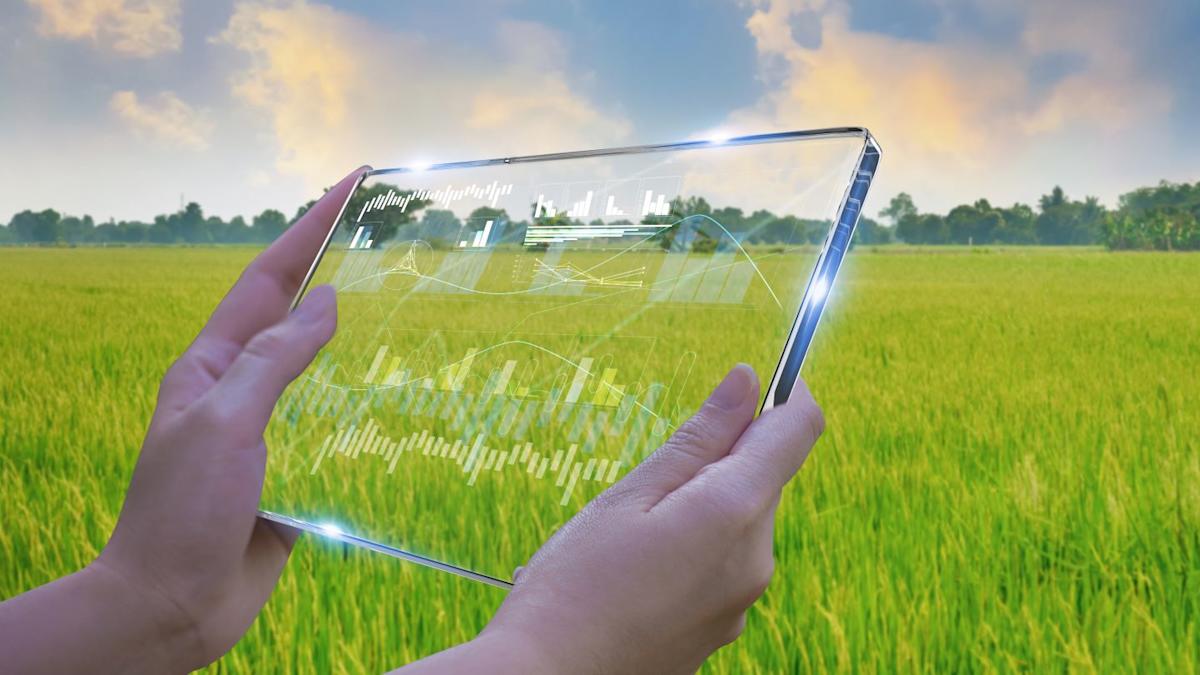 Liberty Mutual Re unveils new insurance product for Colombian farmers