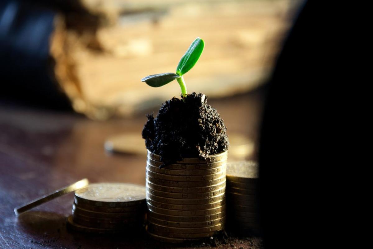 LyondellBasell Industries N.V. (LYB) Raises Dividend by 2.2%