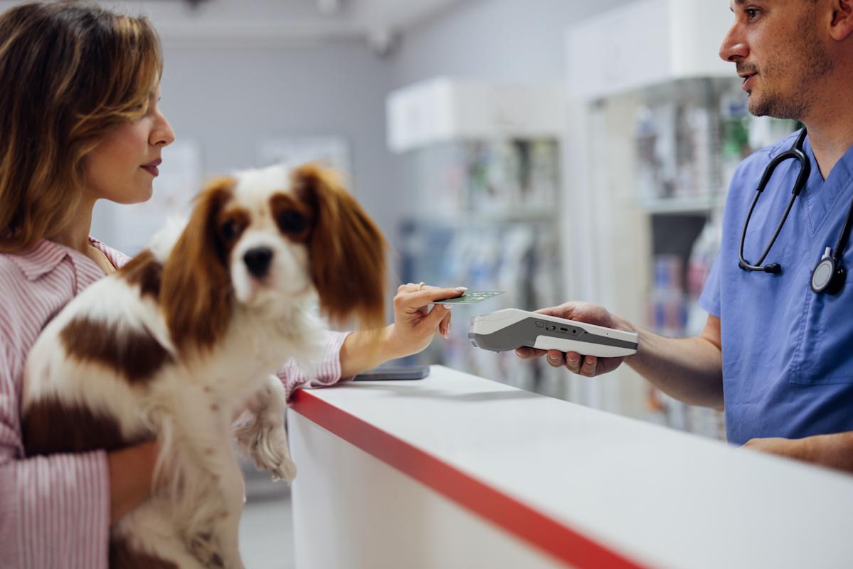 Pet insurance that pays the vet directly: How does it work?