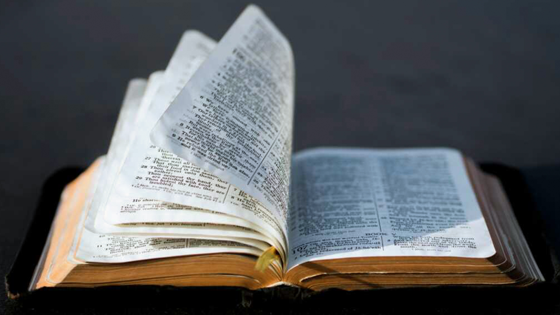 ‘God Was Right’: Man Reveals Why He Believes Modern Social Science Absolutely Proves the Bible